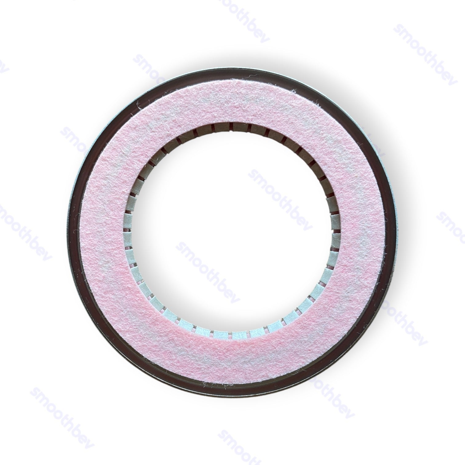 Rear Motor Rotor Grounding Ring